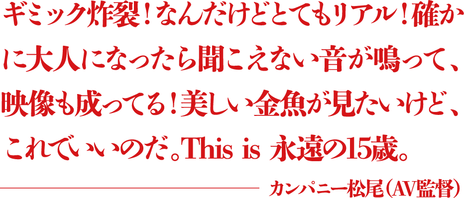 ギミック炸裂!なんだけどとてもリアル!確かに大人になったら聞こえない音が鳴って、映像も成ってる!美しい金魚が見たいけど、これでいいのだ。This is 永遠の15歳。 ―カンパニー松尾(AV監督)